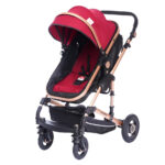 Coche Europeo - Image 2