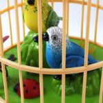 Juguete Pajaro - Image 2